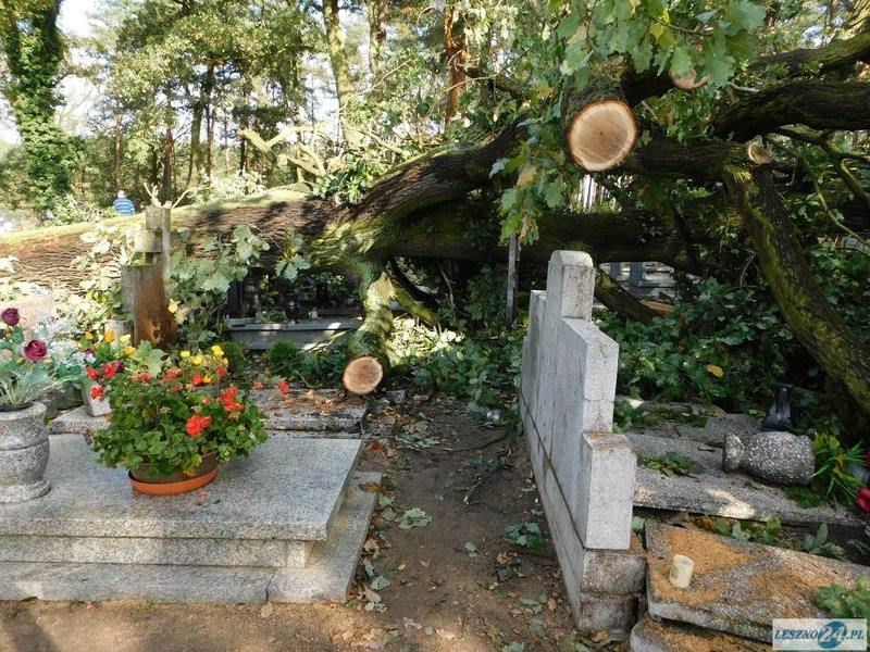 Huragan zdewastował cmentarz w Strzyżewicach (zdjęcia)