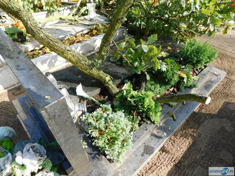 Huragan zdewastował cmentarz w Strzyżewicach (zdjęcia)