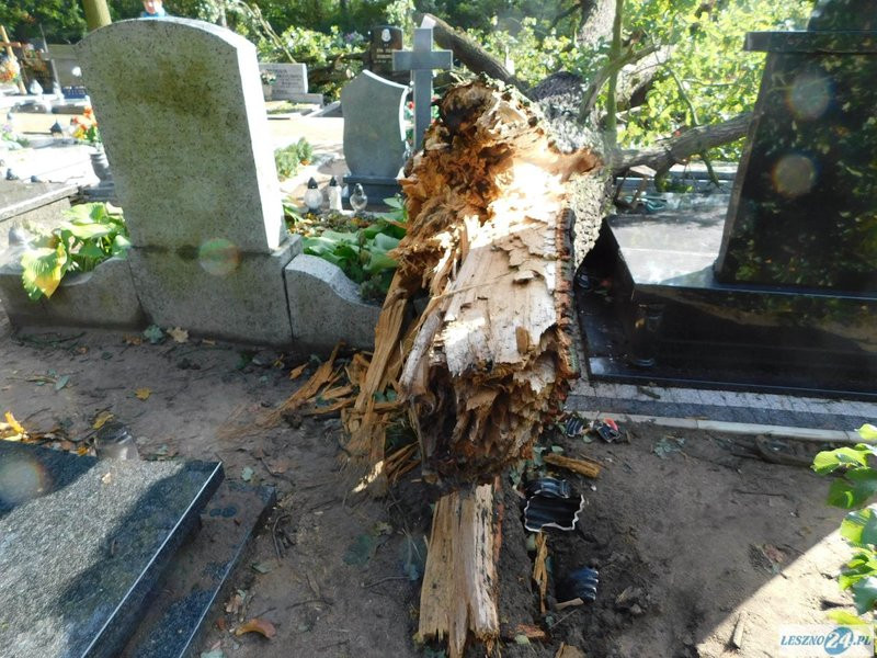 Huragan zdewastował cmentarz w Strzyżewicach (zdjęcia)