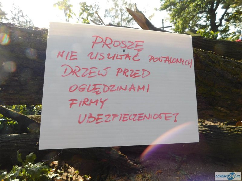 Huragan zdewastował cmentarz w Strzyżewicach (zdjęcia)