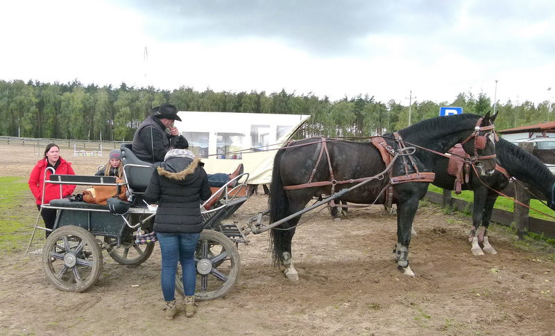 Hubertus w skromniejszej obsadzie (zdjęcia)
