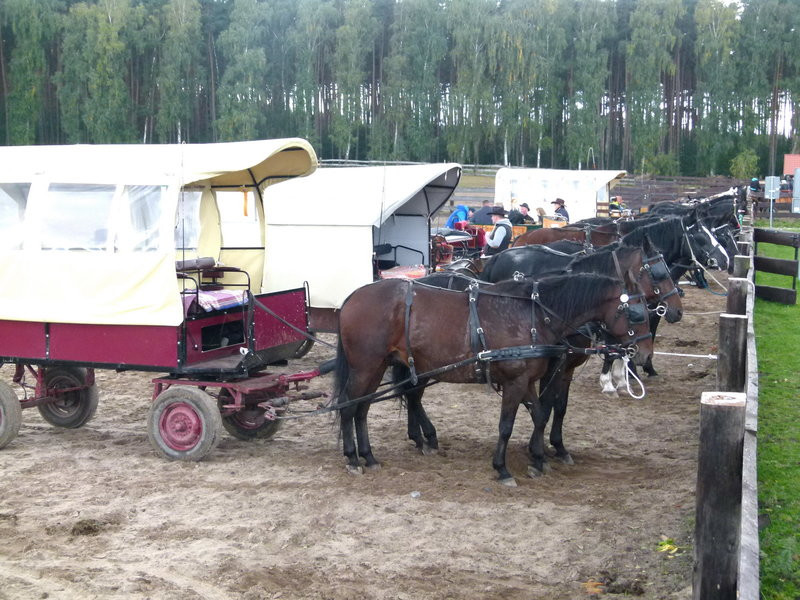 Hubertus w skromniejszej obsadzie (zdjęcia)