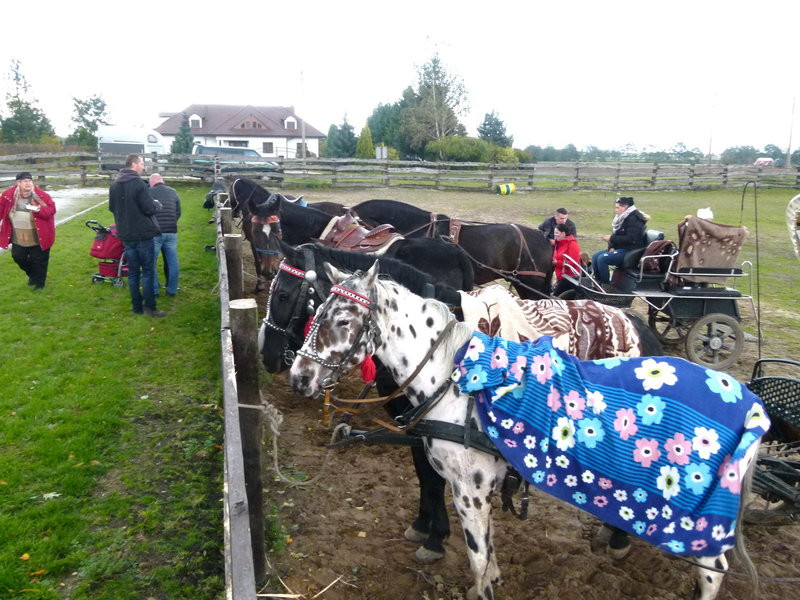 Hubertus w skromniejszej obsadzie (zdjęcia)