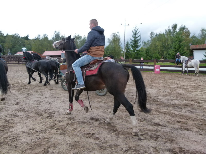 Hubertus w skromniejszej obsadzie (zdjęcia)