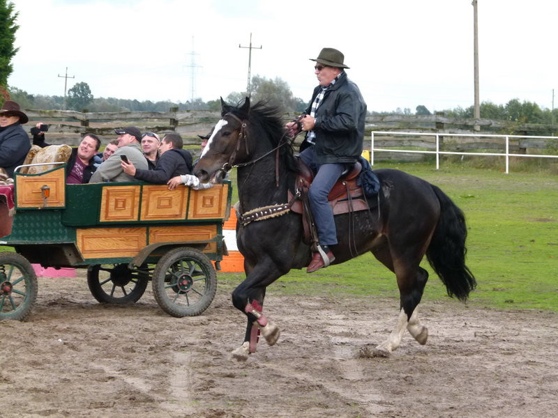 Hubertus w skromniejszej obsadzie (zdjęcia)