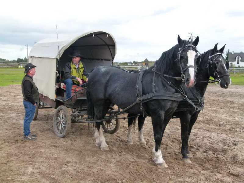 Hubertus w skromniejszej obsadzie (zdjęcia)