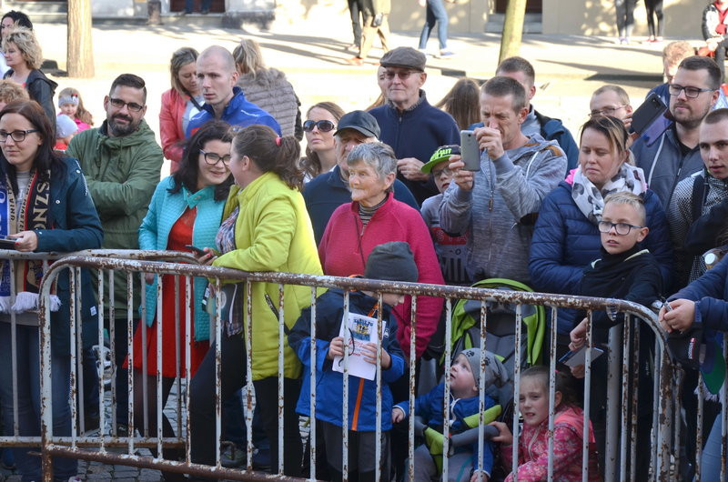 Mistrzowie przed i w ratuszu (zdjęcia)