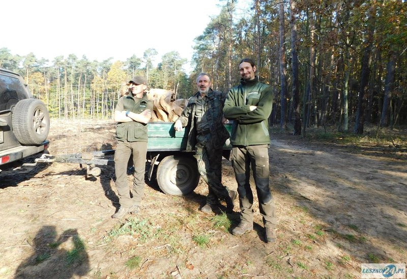 2000 drzew na 50-lecie (zdjęcia)