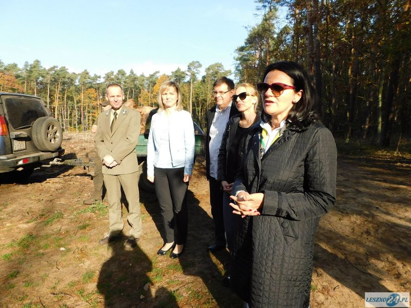 2000 drzew na 50-lecie (zdjęcia)