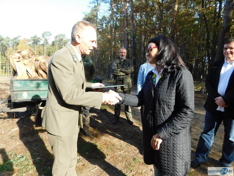 2000 drzew na 50-lecie (zdjęcia)