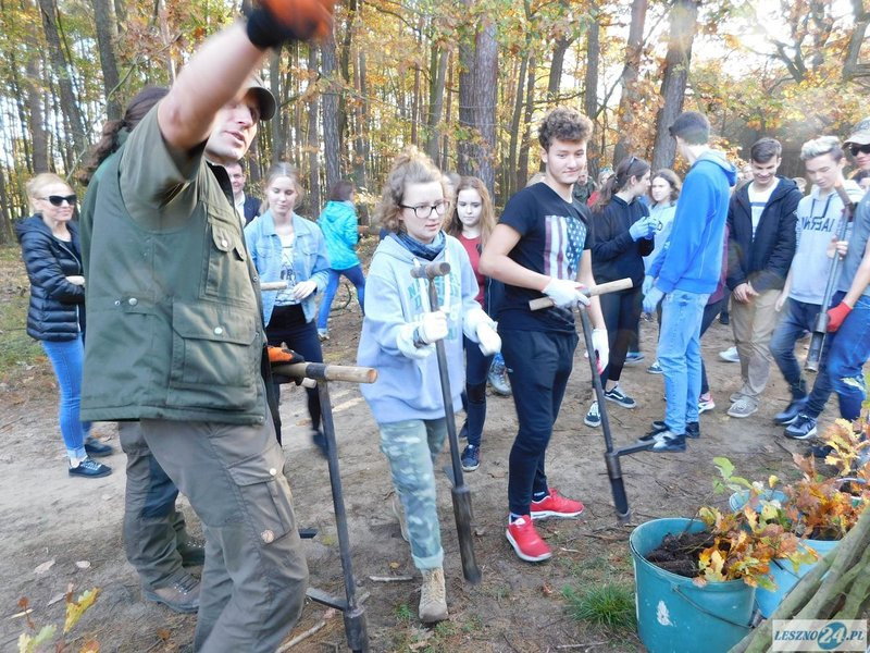 2000 drzew na 50-lecie (zdjęcia)