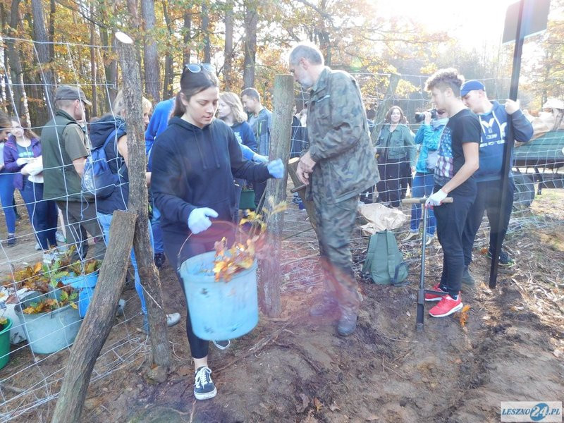 2000 drzew na 50-lecie (zdjęcia)