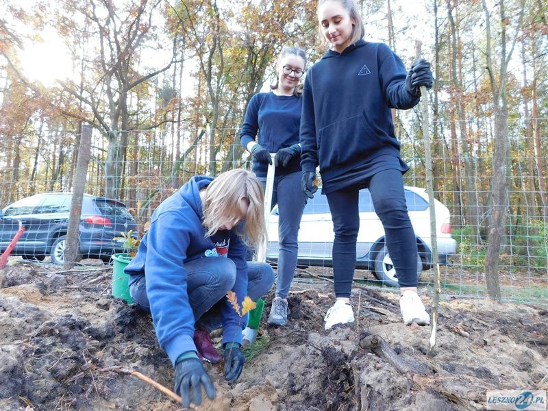 2000 drzew na 50-lecie (zdjęcia)