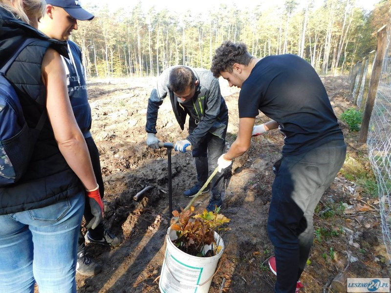 2000 drzew na 50-lecie (zdjęcia)