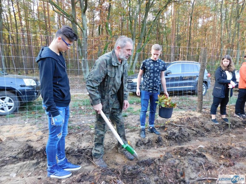 2000 drzew na 50-lecie (zdjęcia)