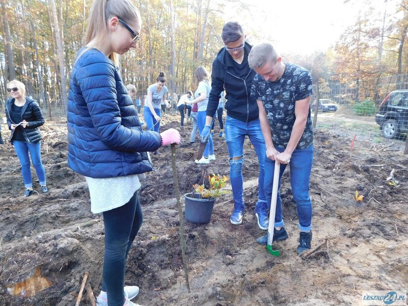 2000 drzew na 50-lecie (zdjęcia)