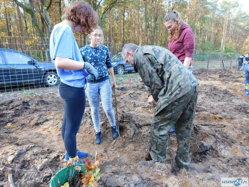 2000 drzew na 50-lecie (zdjęcia)