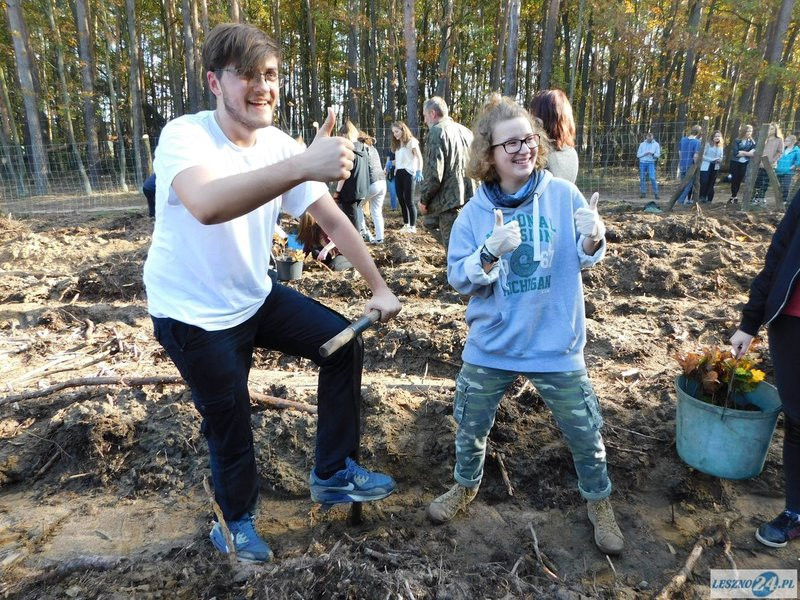 2000 drzew na 50-lecie (zdjęcia)