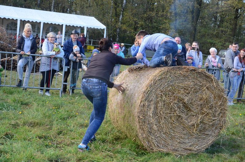 Wypadek na Hubertusie (kilka zdjęć)