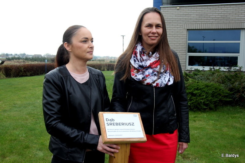 Dąb na 25-lecie firmy Winkhaus (zdjęcia)