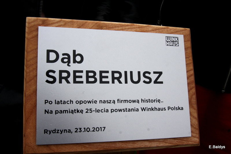 Dąb na 25-lecie firmy Winkhaus (zdjęcia)