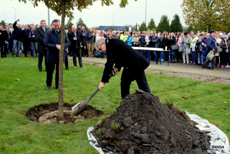 Dąb na 25-lecie firmy Winkhaus (zdjęcia)