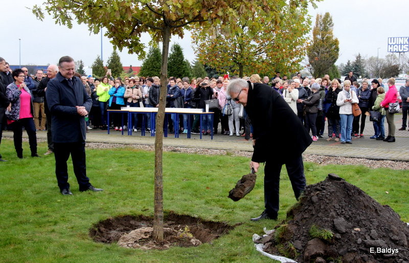 Dąb na 25-lecie firmy Winkhaus (zdjęcia)