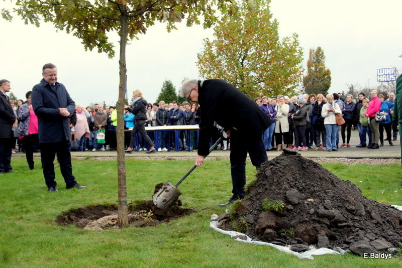 Dąb na 25-lecie firmy Winkhaus (zdjęcia)