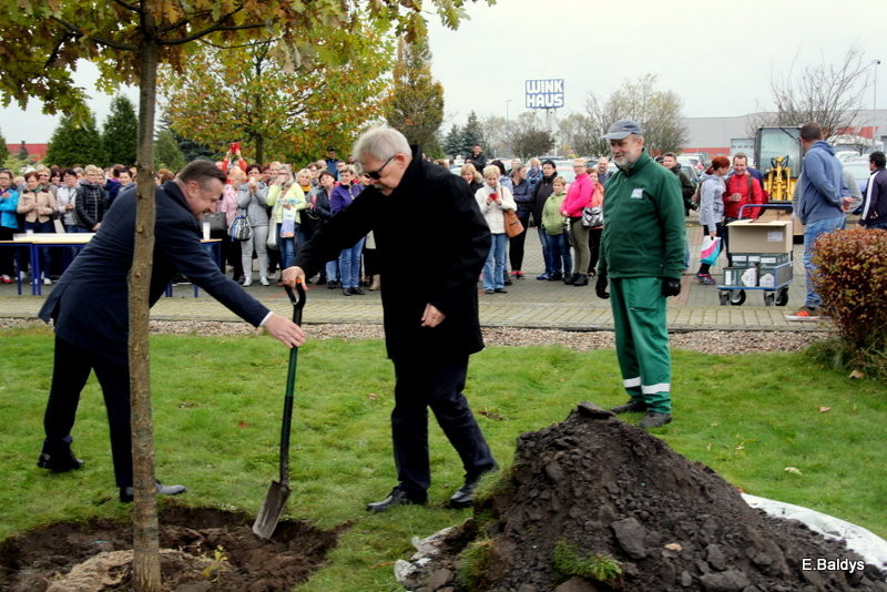 Dąb na 25-lecie firmy Winkhaus (zdjęcia)