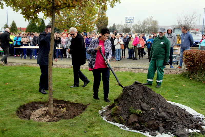 Dąb na 25-lecie firmy Winkhaus (zdjęcia)