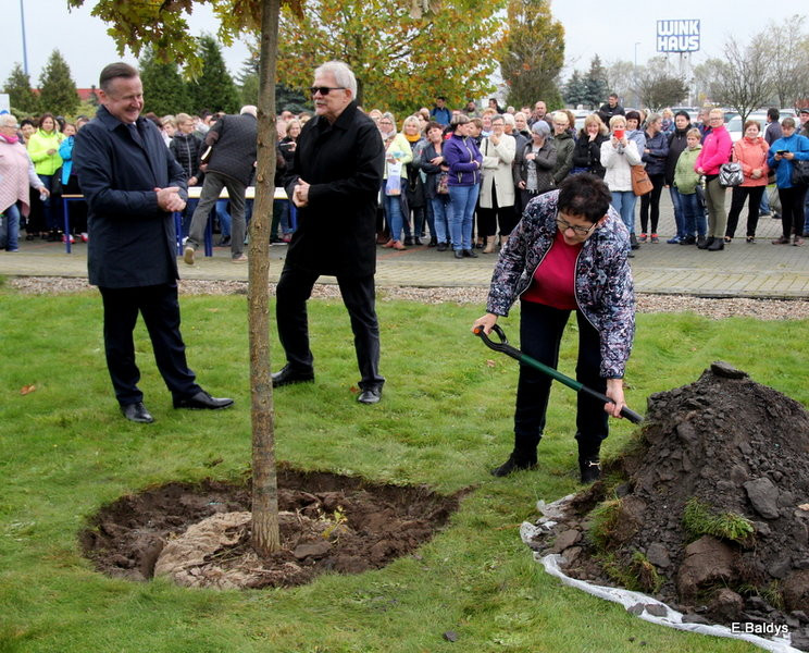 Dąb na 25-lecie firmy Winkhaus (zdjęcia)