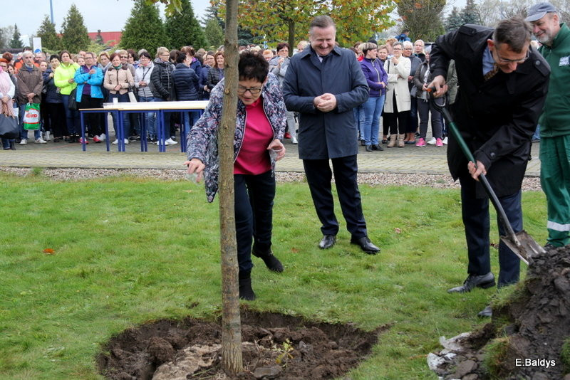 Dąb na 25-lecie firmy Winkhaus (zdjęcia)