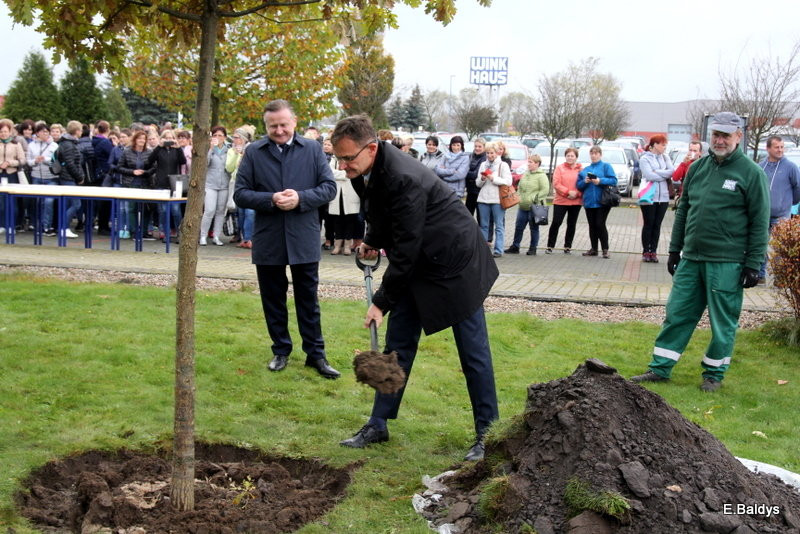 Dąb na 25-lecie firmy Winkhaus (zdjęcia)