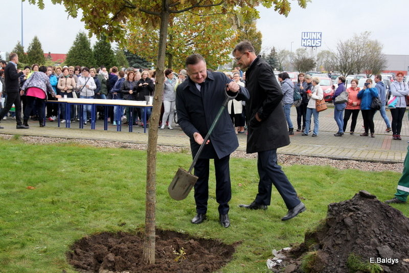 Dąb na 25-lecie firmy Winkhaus (zdjęcia)