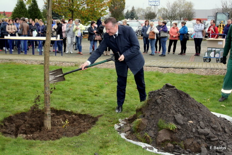 Dąb na 25-lecie firmy Winkhaus (zdjęcia)