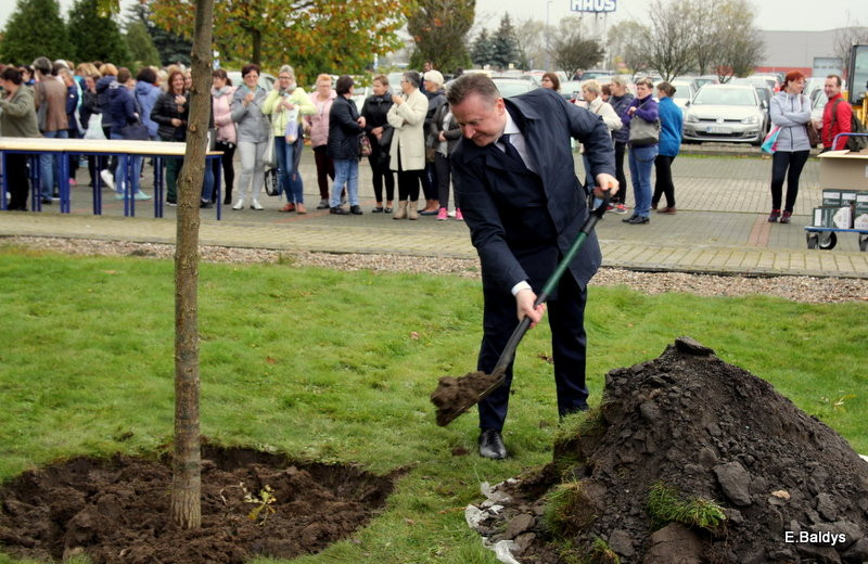 Dąb na 25-lecie firmy Winkhaus (zdjęcia)