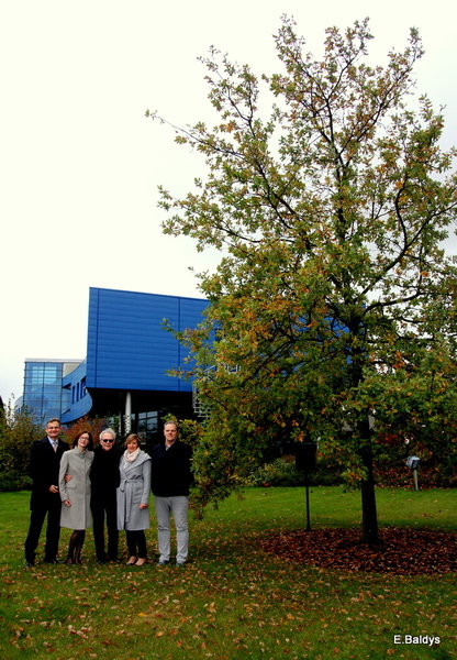 Dąb na 25-lecie firmy Winkhaus (zdjęcia)