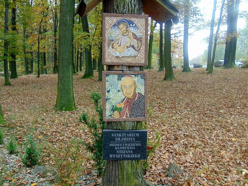 Pięć lat na rowerach (zdjęcia)