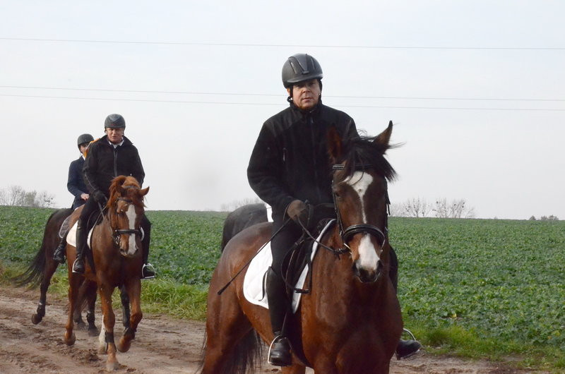 Lis dla Dominiki Kozak (zdjęcia)