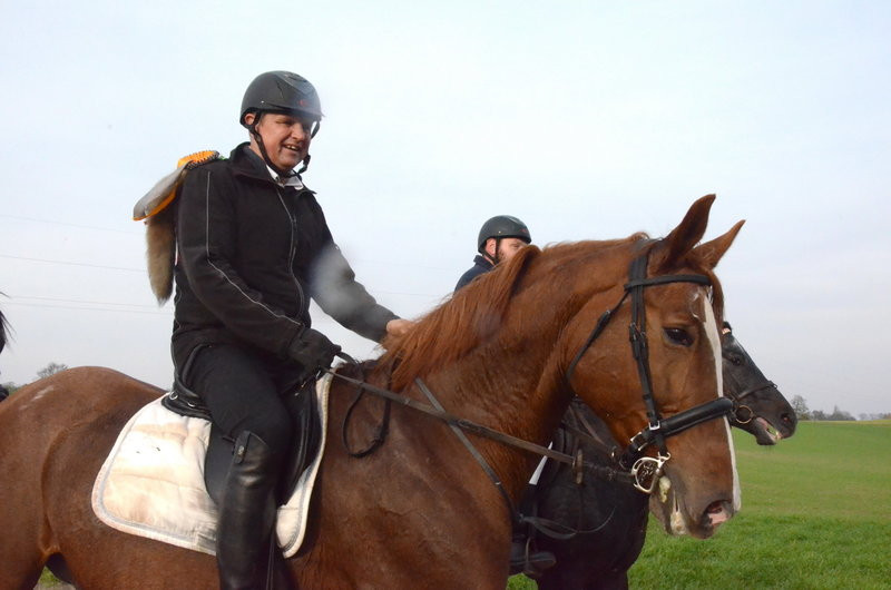 Lis dla Dominiki Kozak (zdjęcia)