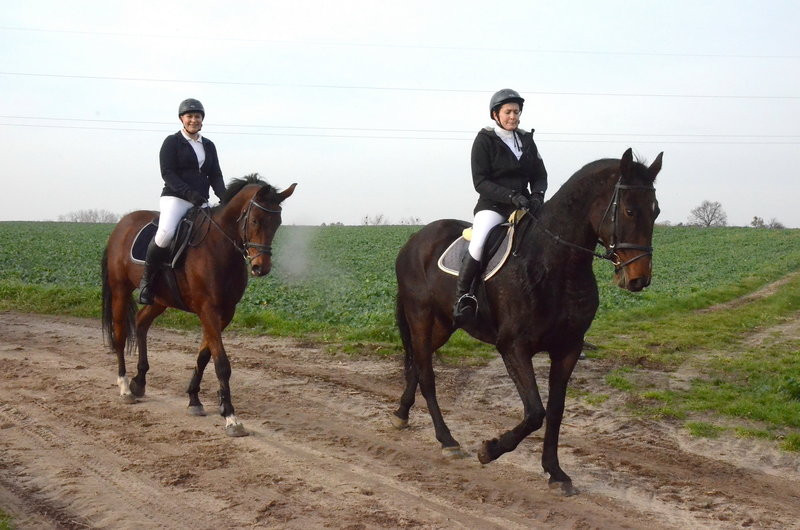 Lis dla Dominiki Kozak (zdjęcia)