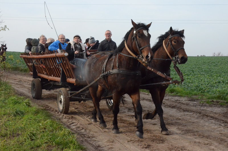 Lis dla Dominiki Kozak (zdjęcia)