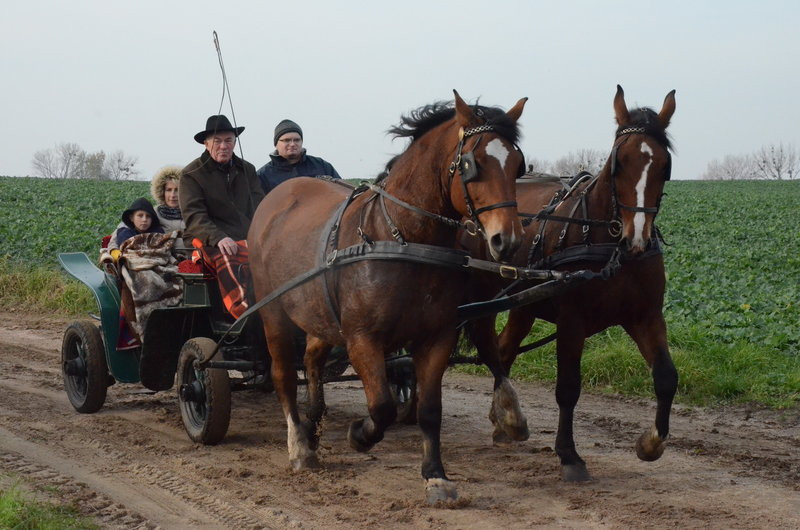Lis dla Dominiki Kozak (zdjęcia)