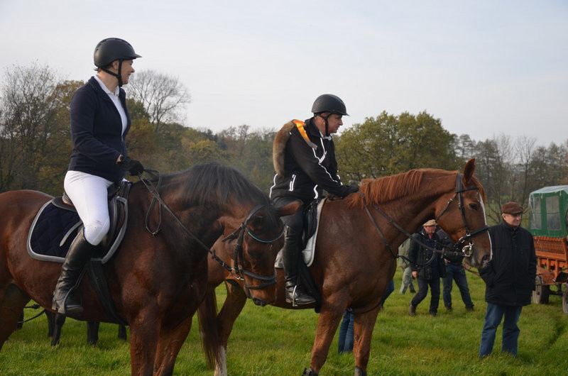 Lis dla Dominiki Kozak (zdjęcia)