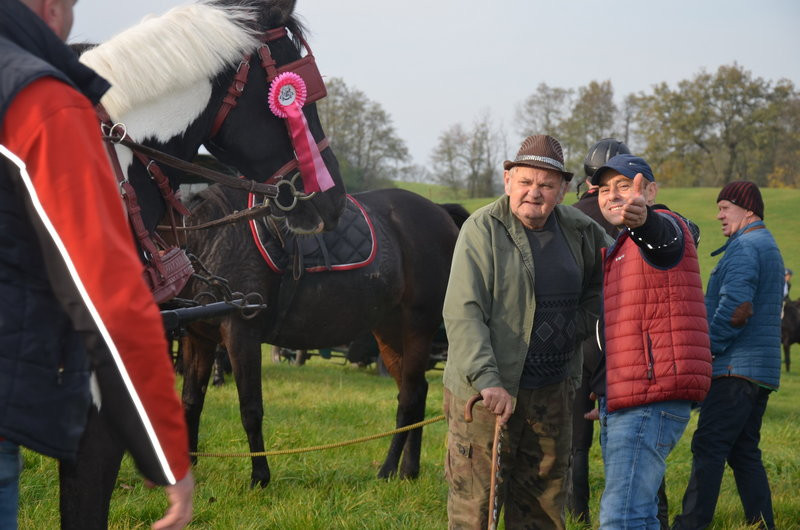Lis dla Dominiki Kozak (zdjęcia)