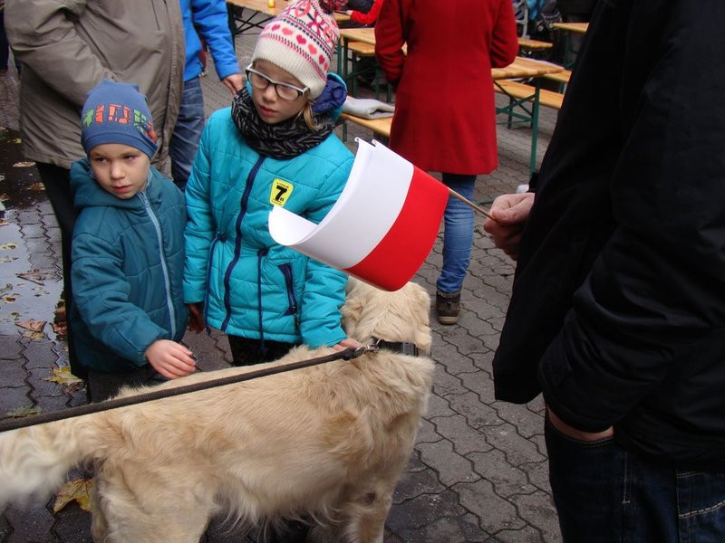 Święto na ulicy Wolności (zdjęcia)