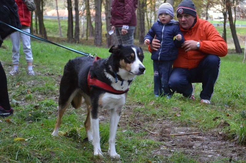 Biegano w Bojanicach (zdjęcia)