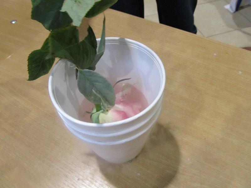 Budują roboty. Pokazali je w Galerii (zdjęcia)