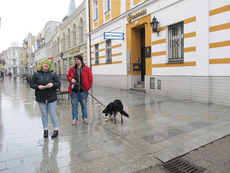 Zakaz hodowli zwierząt futerkowych coraz bliżej (zdjęcia)