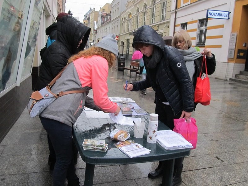 Zakaz hodowli zwierząt futerkowych coraz bliżej (zdjęcia)